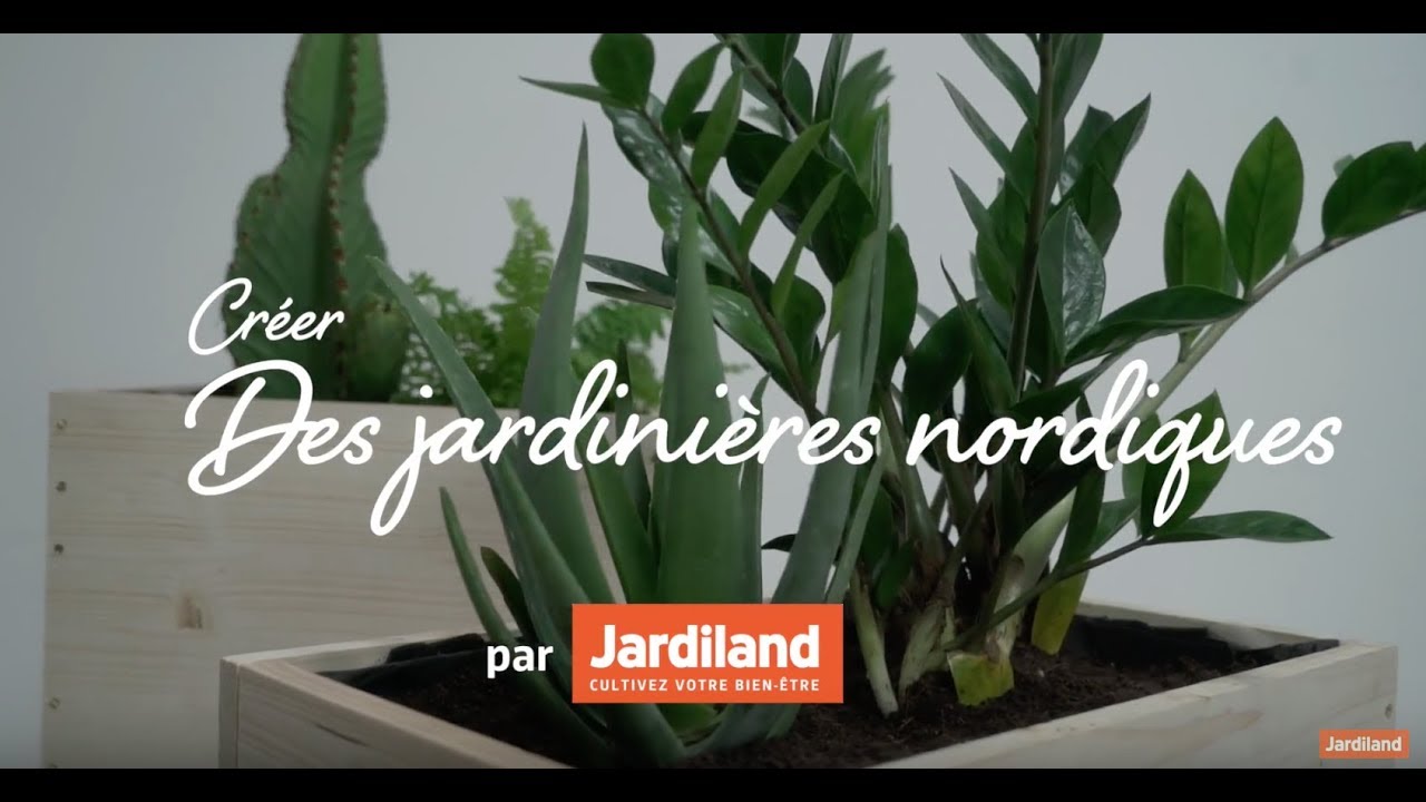 Jardiland Petite foret Luxe Diy Créer Des Jardini¨res nordiques Depuis Mon Hamac