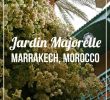 Jardin Agadir Beau 511 Best Morocco Images In 2020