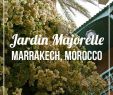 Jardin Agadir Beau 511 Best Morocco Images In 2020