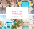 Jardin Agadir Beau 56 Best Morocco Travel Tips Images In 2020