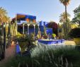 Jardin Agadir Best Of From Frida Kahlo to Claude Monet 8 Artists who Designed