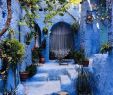 Jardin Agadir Luxe Exploring Chefchaouen because Morocco is More Than
