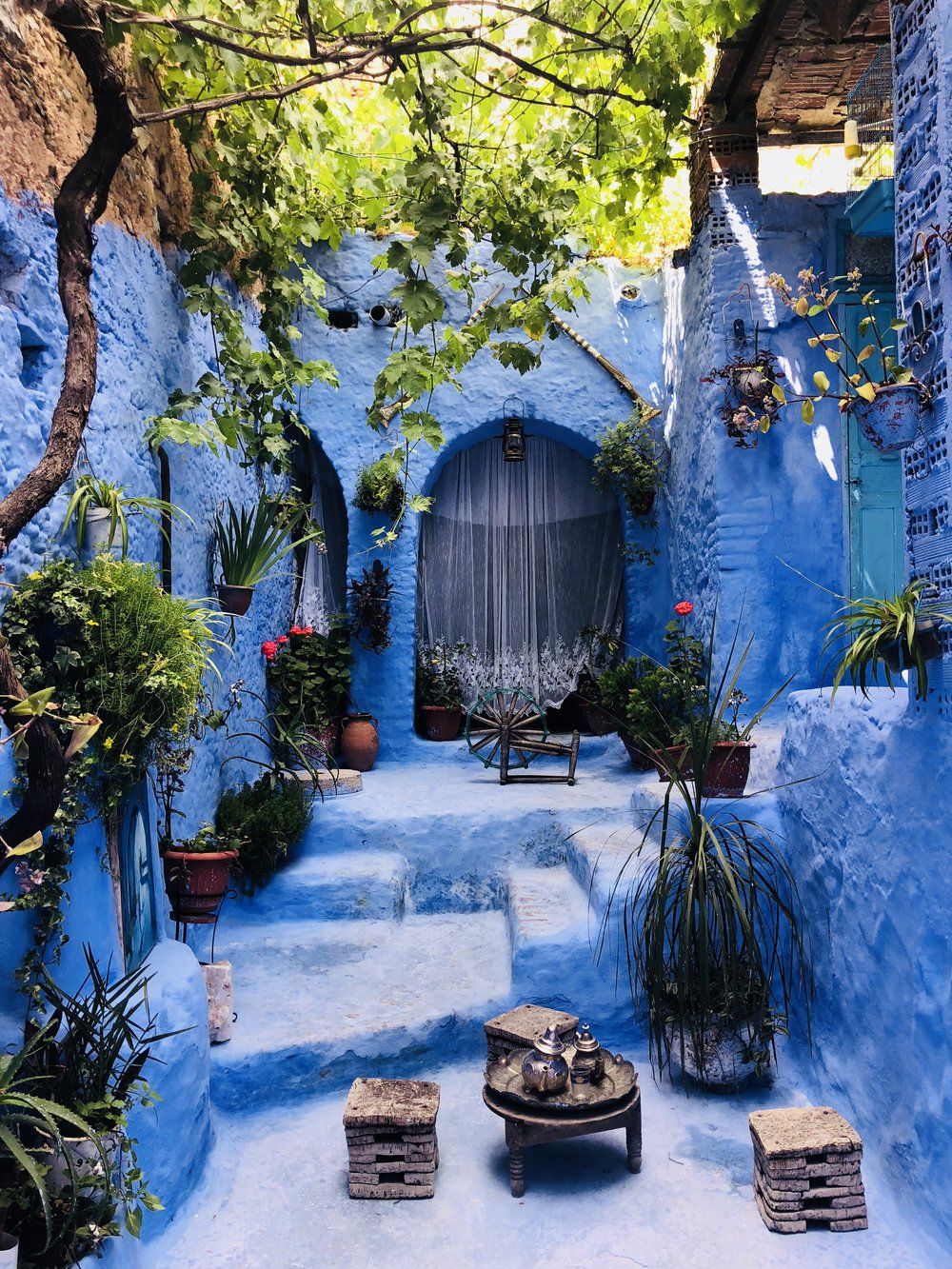 Jardin Agadir Luxe Exploring Chefchaouen because Morocco is More Than