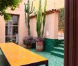 Jardin Agadir Unique Maroc Green Tile Courtyard