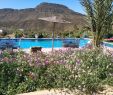 Jardin Agadir Unique Riad De L Olivier Paradise Valley Aksri Morocco Booking