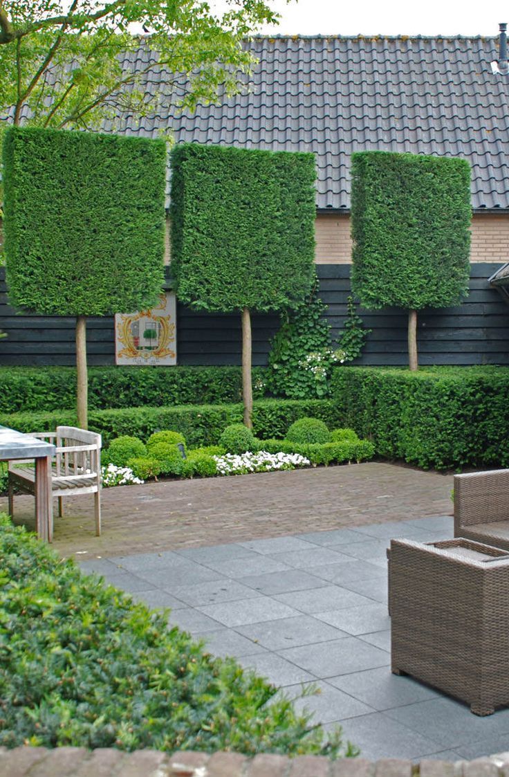 Jardin Amenagement Charmant Garden Screening Ideas Locate Inspiration for Contemporary