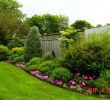 Jardin Amenagement Élégant Landscaping