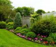 Jardin Amenagement Élégant Landscaping