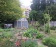 Jardin associatif Inspirant Jardin Partagé Fridolin Strasbourg — Archi Wiki
