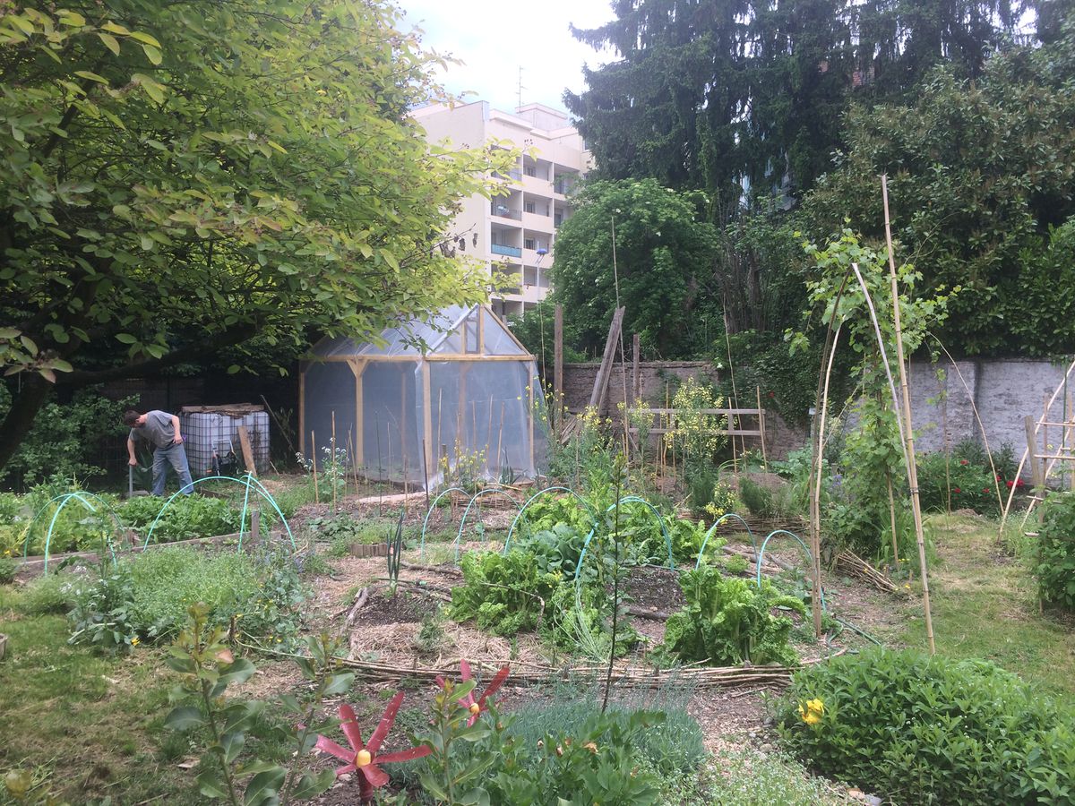 Jardin associatif Inspirant Jardin Partagé Fridolin Strasbourg — Archi Wiki