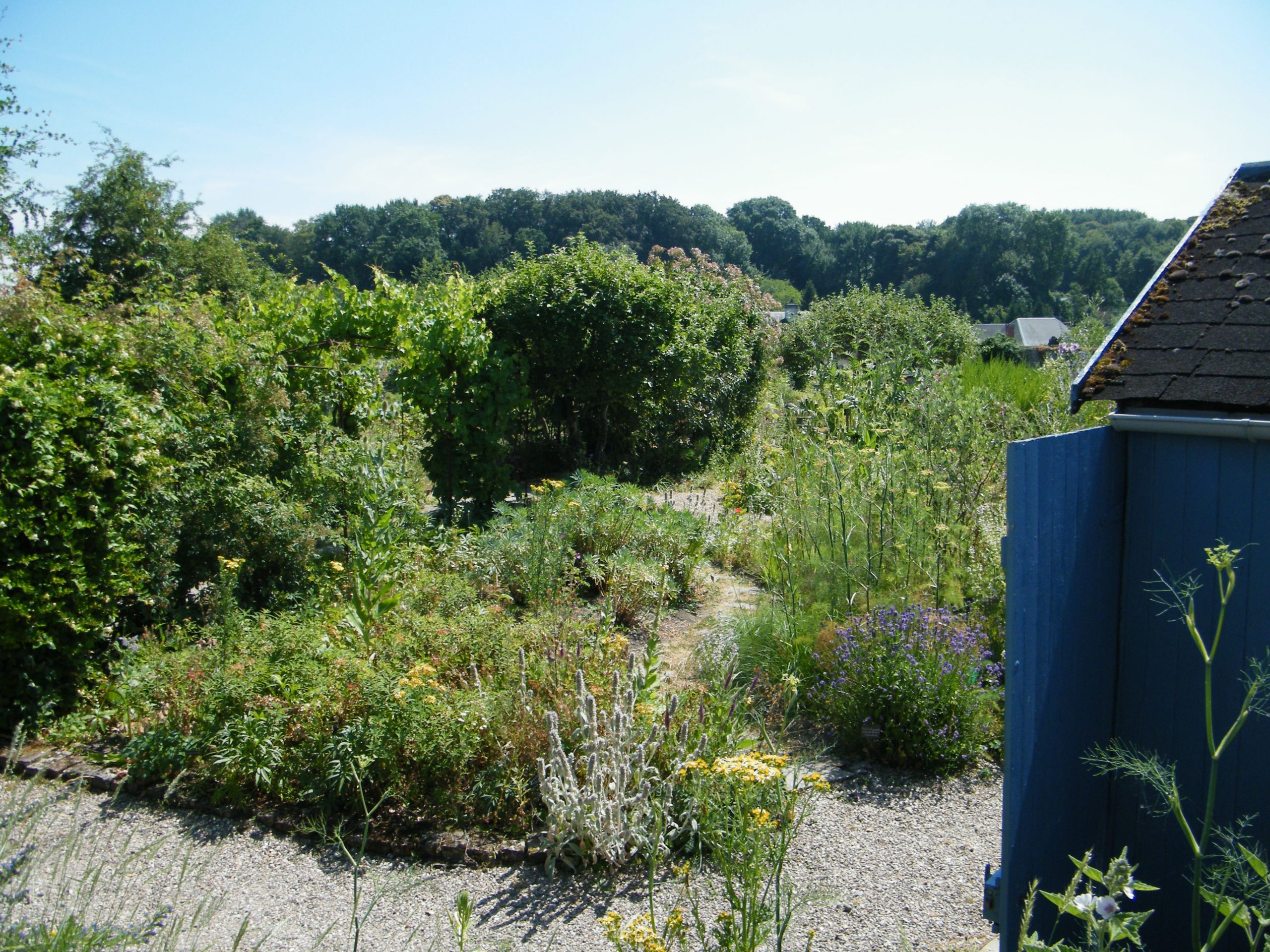 Jardin associatif Unique Herbarium Des Remparts — Wikipédia