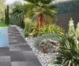 Jardin Autour Piscine Élégant Bordeauxparlemance Parlemance Bordeauxparlema Sur Pinterest