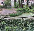 Jardin Autour Piscine Élégant Jardin Sauvage De St Vincent Paris 2020 Ce Qu Il Faut