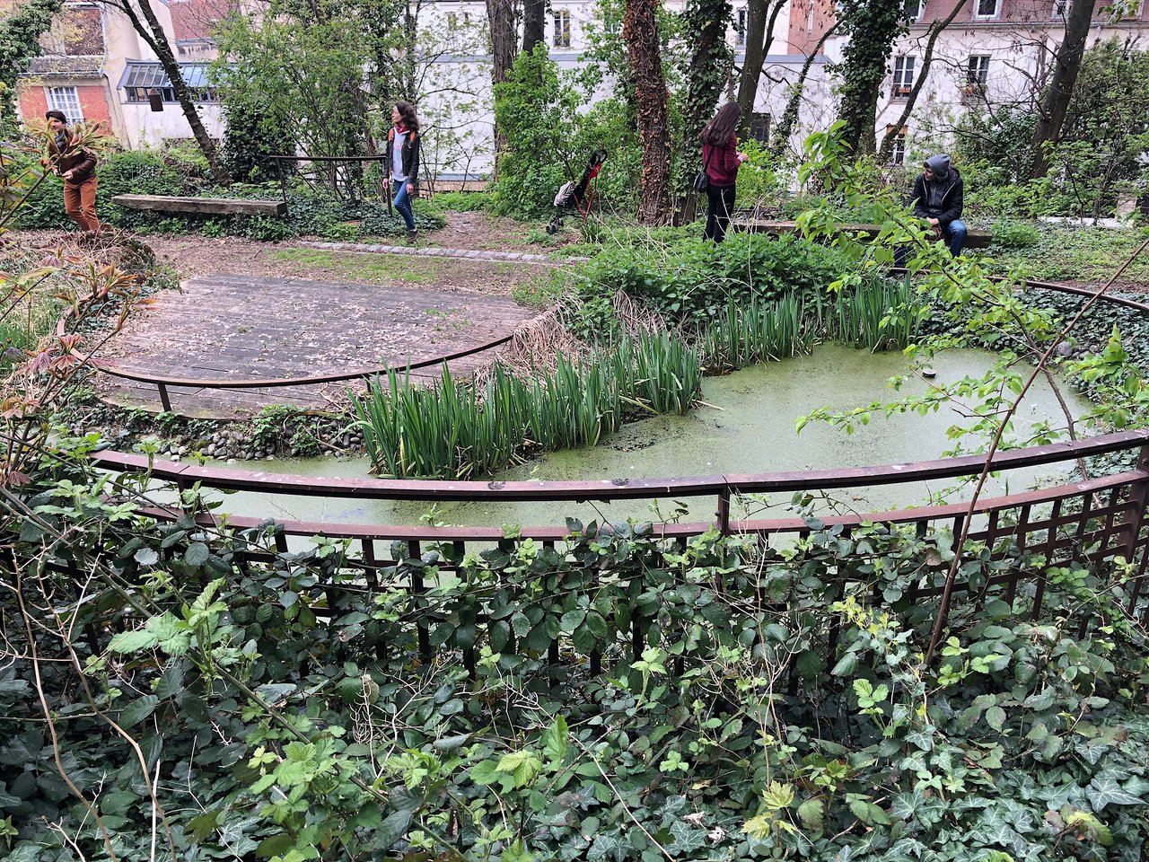 Jardin Autour Piscine Élégant Jardin Sauvage De St Vincent Paris 2020 Ce Qu Il Faut