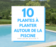 Jardin Autour Piscine Luxe épinglé Sur Autour De La Piscine