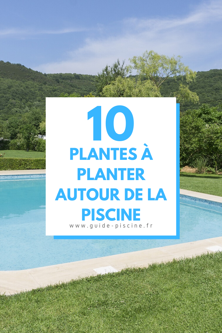 Jardin Autour Piscine Luxe épinglé Sur Autour De La Piscine