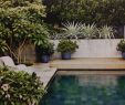 Jardin Autour Piscine Unique Notre Mini Piscine Sur Elle Décoration °°