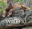 Jardin Biodiversité Charmant Wild10 Ficial Program by Wild Foundation issuu