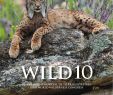 Jardin Biodiversité Charmant Wild10 Ficial Program by Wild Foundation issuu