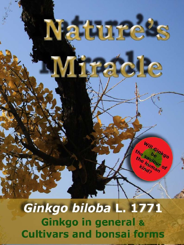 Jardin Biodiversité Unique Ginkgo Encyclopedia Full Version • BegoviÄ Branko M B