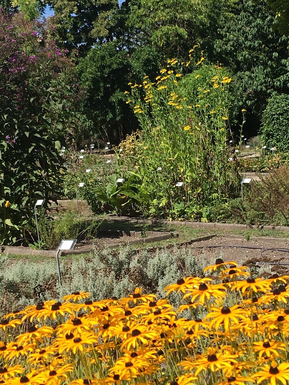 Jardin Bordeaux Beau Jardin Public Bordeaux 2020 All You Need to Know before