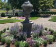 Jardin Bordeaux Best Of 80 Fantastic Cottage Garden Ideas to Create Cozy Private