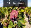 Jardin Bordeaux Best Of Médoc or St Emilion How to Choose the Best Bordeaux Day