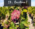 Jardin Bordeaux Best Of Médoc or St Emilion How to Choose the Best Bordeaux Day