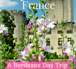Jardin Bordeaux Frais 37 Best Travel Bordeaux France with Kids Images