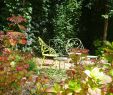 Jardin Bordeaux Inspirant Le Clos Des Queyries $189 $Ì¶2Ì¶0Ì¶4Ì¶ Prices & Inn Reviews