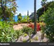 Jardin Botanique Barcelone Inspirant Marimurtra Botanical Garden Blanes Barcelona Spain — Stock