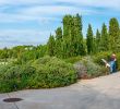 Jardin Botanique Barcelone Luxe Botanical Garden Of Barcelona – Barcelona – tourist