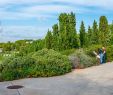 Jardin Botanique Barcelone Luxe Botanical Garden Of Barcelona – Barcelona – tourist