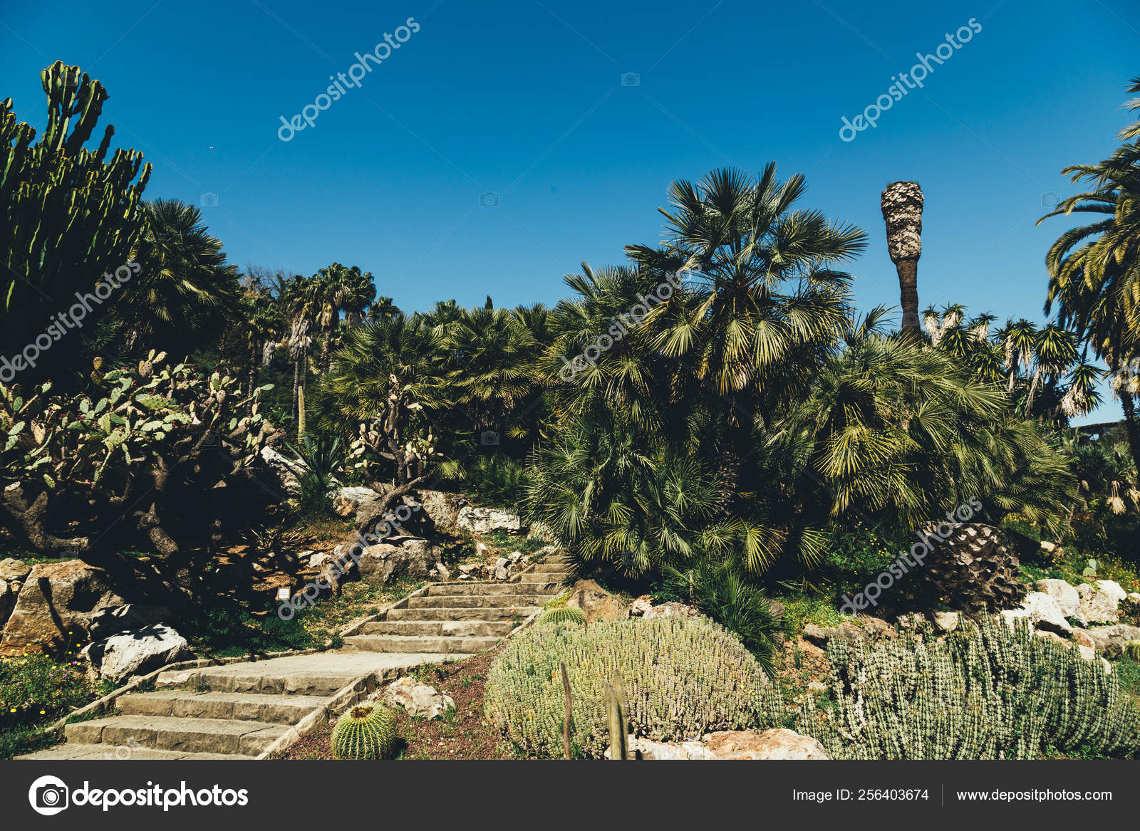 Jardin Botanique Barcelone Luxe Green Botanical Garden Jardines Mossn Costa Llobera