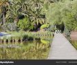 Jardin Botanique Barcelone Nouveau Botanical Garden In Montjuic Park Barcelona — Stock