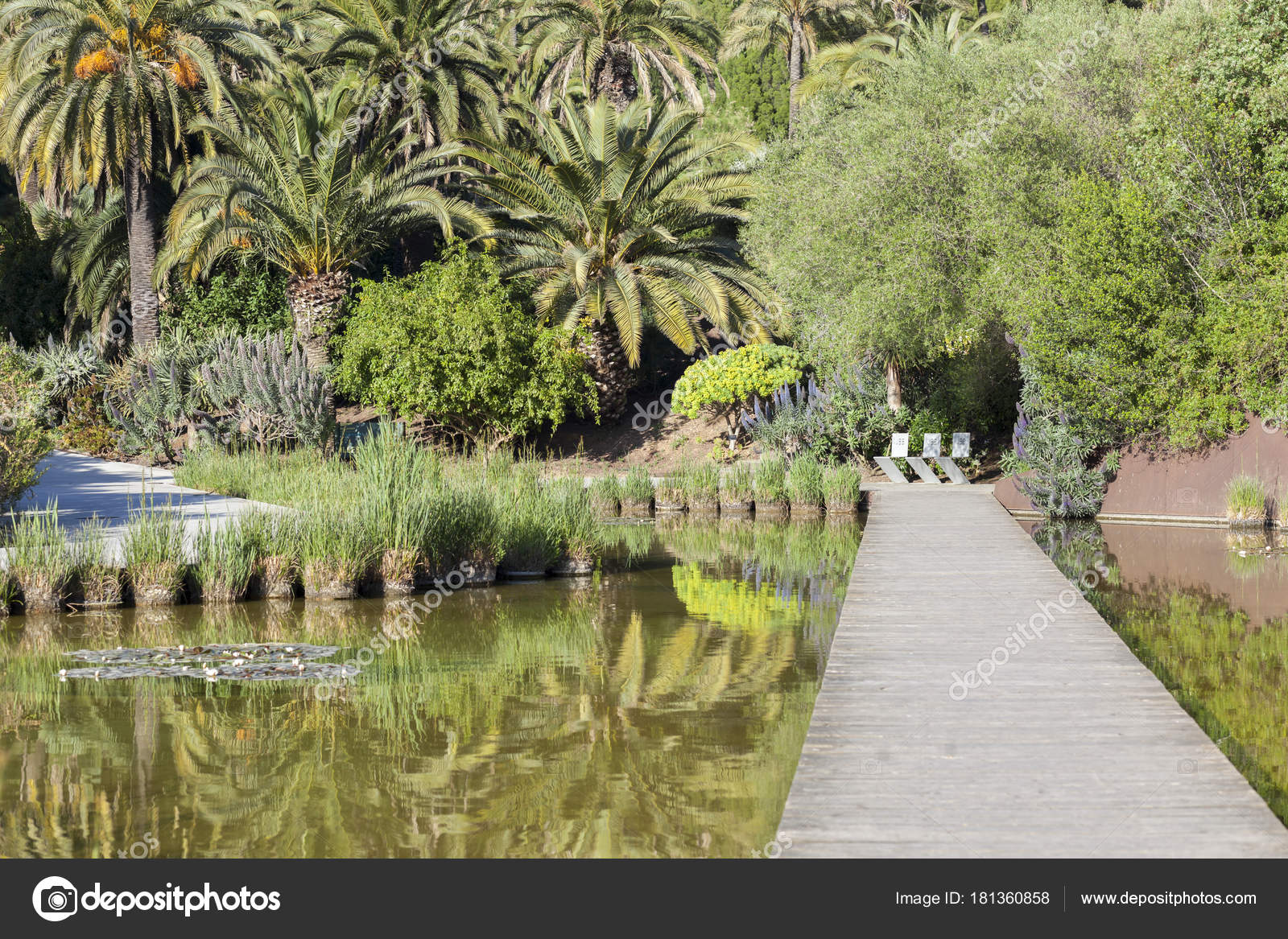 Jardin Botanique Barcelone Nouveau Botanical Garden In Montjuic Park Barcelona — Stock