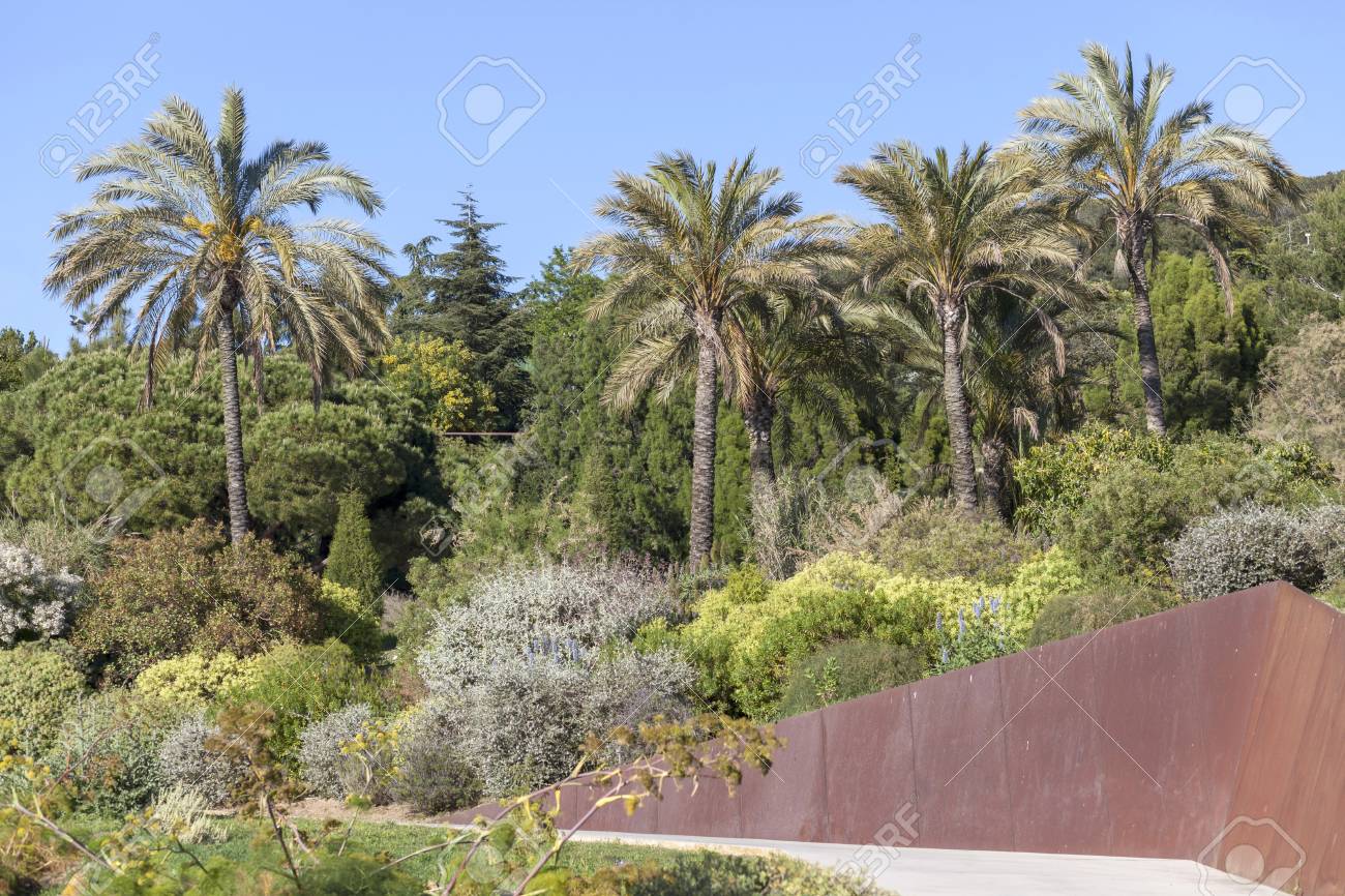 botanical garden in montjuic park barcelona