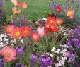 Jardin Botanique Bayeux Beau Jardin Public De Bayeux 2020 All You Need to Know before