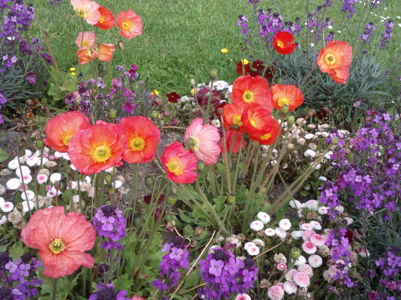 jardin de bayeux au printemps