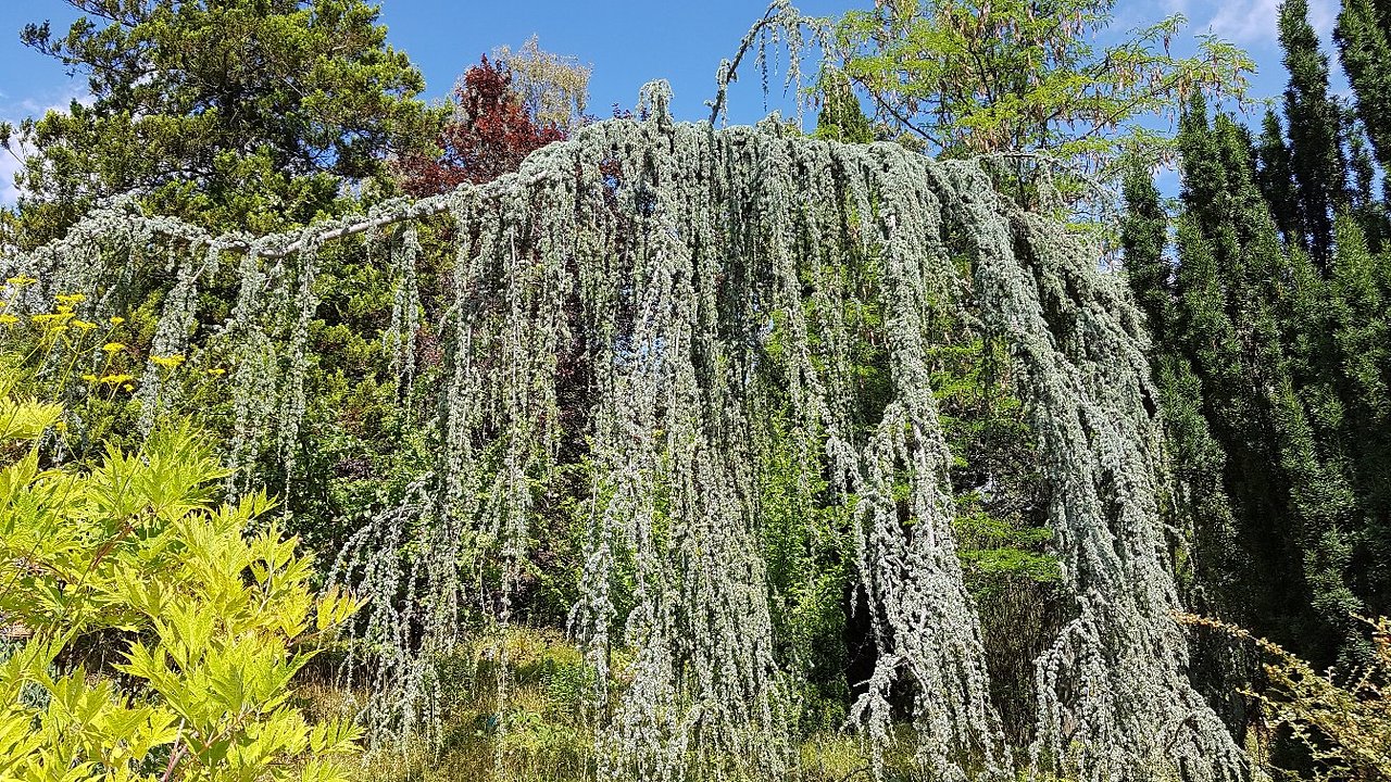 Jardin Botanique Bayeux Élégant Jardin Botanique Saverne 2020 All You Need to Know