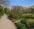 Jardin Botanique Bayeux Inspirant 117 Best Jdpomd2017 Images