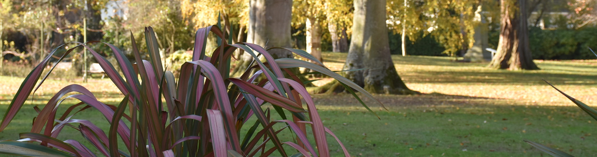 jardin botanique bayeux