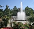 Jardin Botanique Beau Fountain In "the Jardin Des Plantes" First Botanical Garden