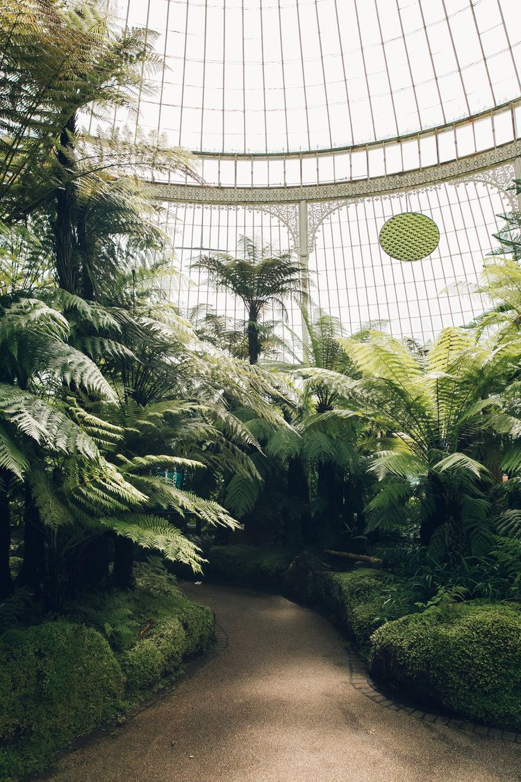 Jardin Botanique Best Of Inside Clapton Tram — A Plant Filled Warehouse Space