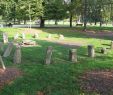 Jardin Botanique Bordeaux Beau File Cromlech Jardin Public De Bordeaux Wikimedia Mons