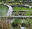 Jardin Botanique Bordeaux Beau Le Jardin Botanique Bordeaux