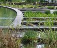 Jardin Botanique Bordeaux Beau Le Jardin Botanique Bordeaux