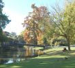 Jardin Botanique Bordeaux Best Of File Xdsc 7599 Jardin Public De Bordeaux Wikimedia Mons