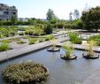 Jardin Botanique Bordeaux Best Of Le Jardin Botanique Bordeaux