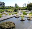 Jardin Botanique Bordeaux Best Of Le Jardin Botanique Bordeaux